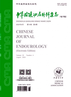 中华腔镜泌尿外科杂志(电子版)期刊封面
