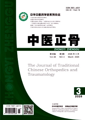 中医正骨期刊封面