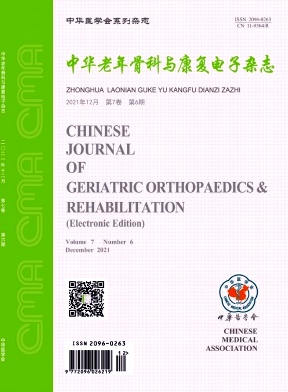 中华老年骨科与康复电子杂志期刊封面