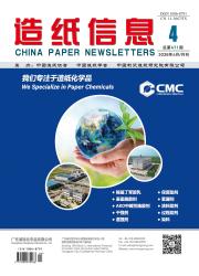 造纸信息期刊封面