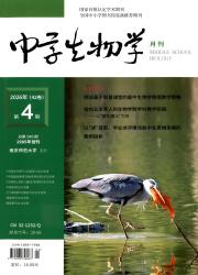 中学生物学期刊封面