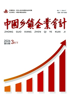 中国乡镇企业会计期刊封面