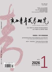 广西青年发展研究期刊封面