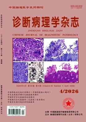 诊断病理学杂志期刊封面