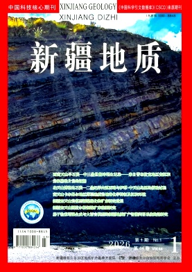 新疆地质期刊封面