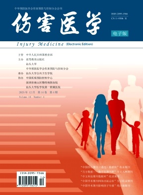 伤害医学(电子版)期刊封面