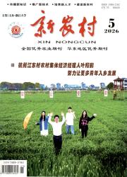 新农村期刊封面