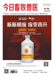 今日畜牧兽医期刊封面