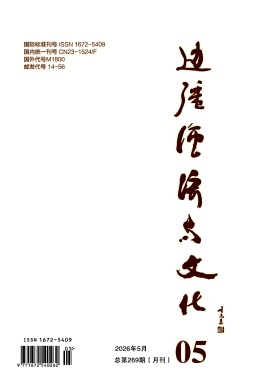 边疆经济与文化期刊封面