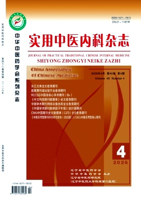 实用中医内科杂志期刊封面