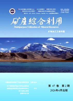 矿产综合利用期刊封面
