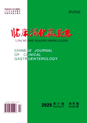 临床消化病杂志期刊封面
