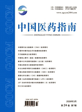 中国医药指南期刊封面