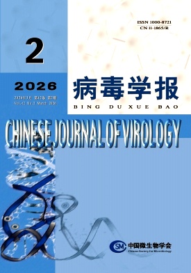 病毒学报期刊封面