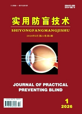 实用防盲技术期刊封面