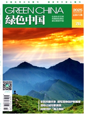 绿色中国期刊封面