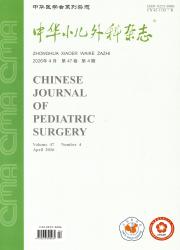 中华小儿外科杂志期刊封面