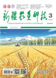 新疆农垦科技期刊封面