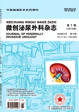 微创泌尿外科杂志期刊封面