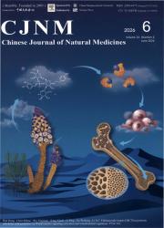 中国天然药物期刊封面