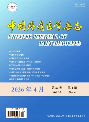 中国疼痛医学杂志期刊封面