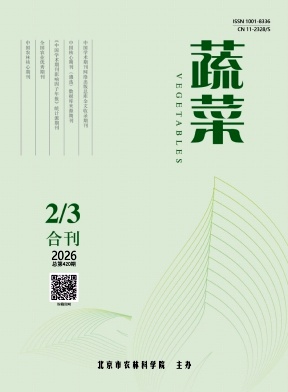 蔬菜期刊封面