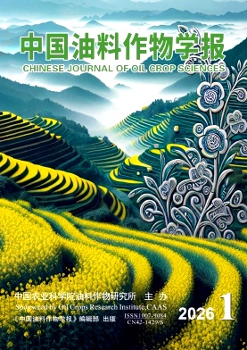 中国油料作物学报期刊封面