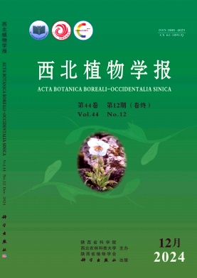 西北植物学报期刊封面