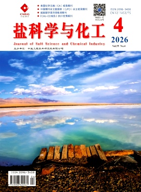 盐科学与化工期刊封面