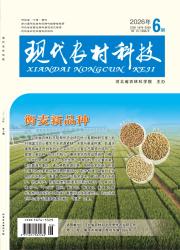现代农村科技期刊封面
