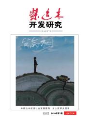 柴达木开发研究期刊封面