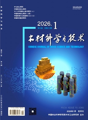 木材工业期刊封面