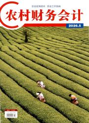 农村财务会计期刊封面