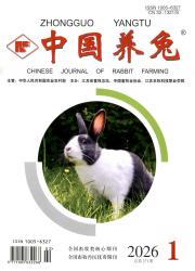 中国养兔期刊封面