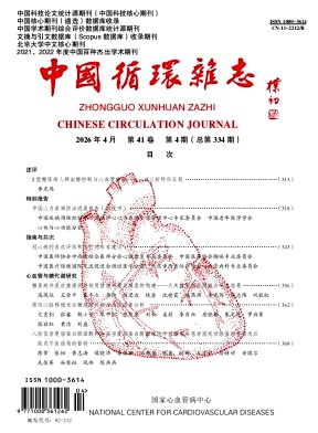 中国循环杂志期刊封面