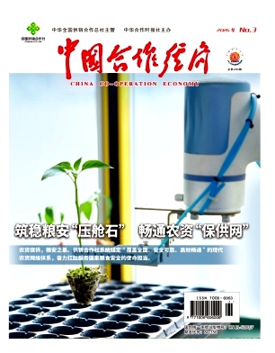 中国合作经济期刊封面