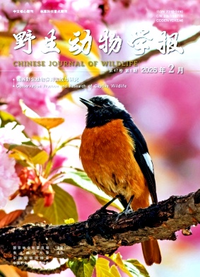 野生动物学报期刊封面