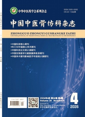 中国中医骨伤科杂志期刊封面