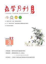 教学月刊（小学版）期刊封面