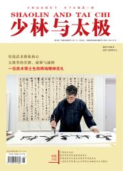 少林与太极期刊封面