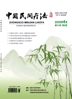 中国民间疗法期刊封面