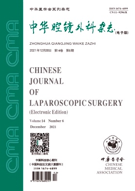 中华腔镜外科杂志(电子版)期刊封面