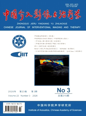 中国介入影像与治疗学期刊封面