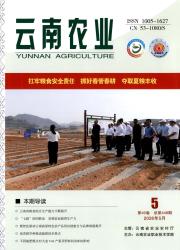 云南农业期刊封面