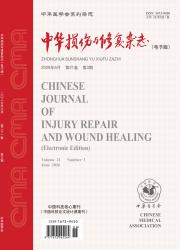 中华损伤与修复杂志(电子版)期刊封面