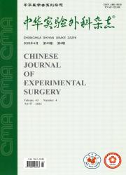 中华实验外科杂志期刊封面