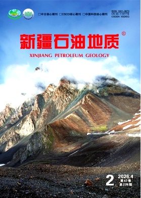 新疆石油地质期刊封面