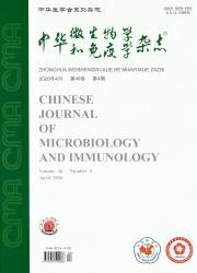 中华微生物学和免疫学杂志期刊封面