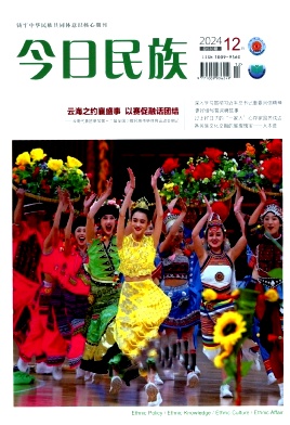 今日民族期刊封面