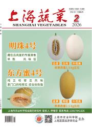 上海蔬菜期刊封面